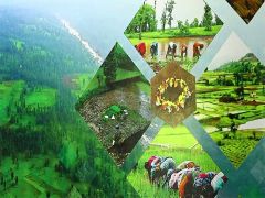 Gujarat Government to Develop 500 Villages as Natural Farming Clusters